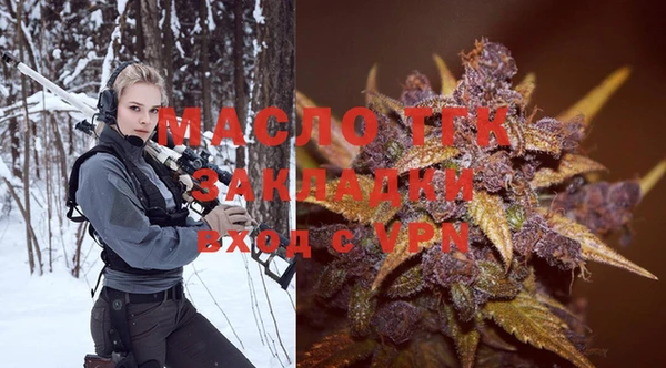 тгк Абаза