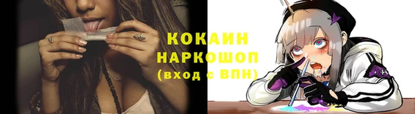 тгк Абаза