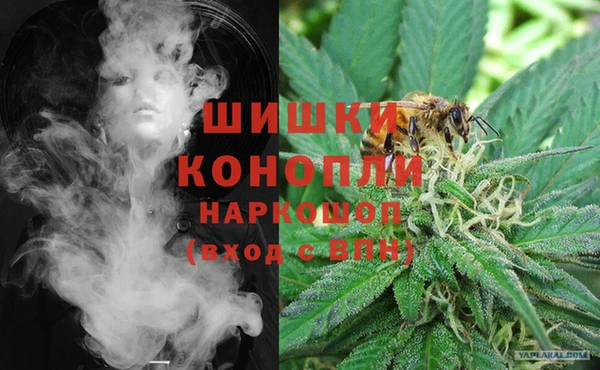 тгк Абаза